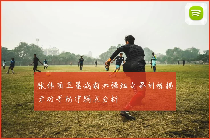 张伟丽卫冕战前加强组合拳训练揭示对手防守弱点分析